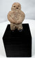 Pre-Columbian carved stone ritual figure from Western or Central Mexico, circa 300 BCE–900 CE