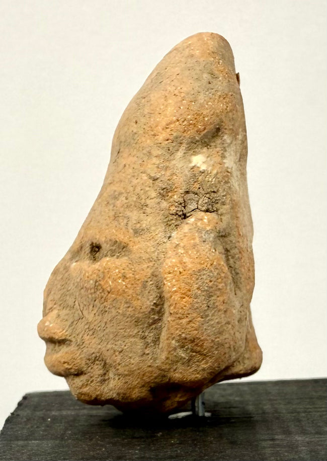 Side profile of pre-Columbian terracotta head highlighting steep cranial slope and earthy orange-brown ceramic