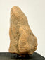Side profile of ancient terracotta head highlighting sloping forehead and matte textured finish in tan hues
