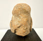 Rear view of Nayarit region terracotta head showing rough textured clay surface and elongated skull shape