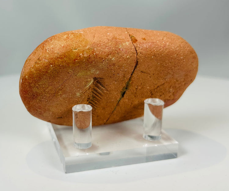 Ancient Near Eastern clay tablet with visible cuneiform impressions