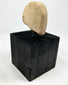 Rear view highlighting surface texture of a Near Eastern terracotta head fragment