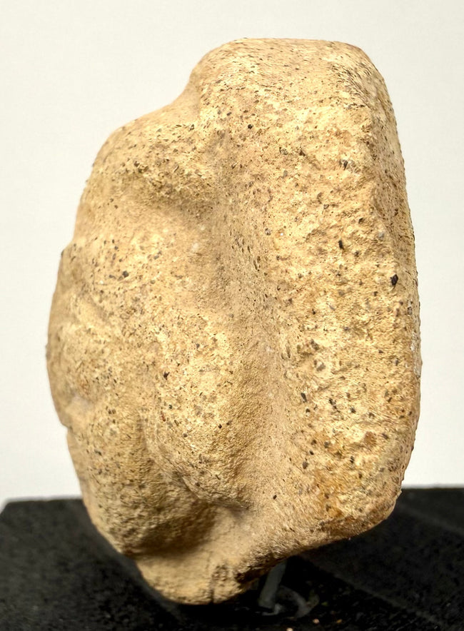 Side profile of ancient clay head highlighting skull curvature and facial relief