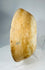 Authentic Pre-Columbian bowl featuring shallow profile, mineral accretion, and archaeological surface wear.