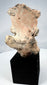 Terracotta ceremonial figure fragment from ancient Mexico, circa 300 BCE–600 CE