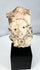 Ancient Mexican terracotta sculpture fragment with rounded face and large neck ornaments