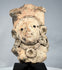 Ancient Mesoamerican terracotta figure fragment from the Veracruz or Gulf Coast region