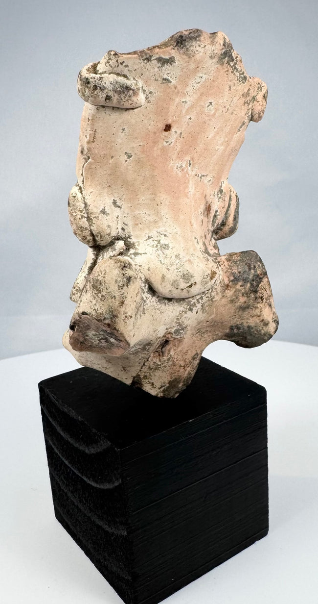 Ancient Veracruz-style ceramic fragment with stylized face and prominent earspools