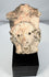Mexican terracotta human figure fragment with abstract facial features and ceremonial ornaments