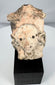 Mexican terracotta human figure fragment with abstract facial features and ceremonial ornaments