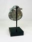 Photograph of back view of rounded Roman bronze pendant used as a protective or symbolic charm.