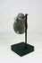 Angle view of ancient Roman bronze amulet showing oxidized surface and fine engravings.
