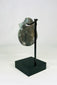 Angle view of ancient Roman bronze amulet showing oxidized surface and fine engravings.