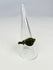 1st–3rd century CE Roman bronze ring maritime motif historical artifact