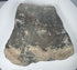 Carved Roman volcanic tuff relief fragment displaying porous stone grain, sculptural erosion and mineral encrustation