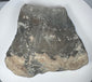 Carved Roman volcanic tuff relief fragment displaying porous stone grain, sculptural erosion and mineral encrustation