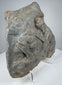 Ancient Roman volcanic stone carving with eroded figural composition, porous surface and mineral deposits