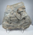 Ancient Roman carved stone relief depicting two Classical figures in deeply weathered volcanic tuff