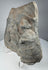 Reverse of Roman volcanic tuff relief fragment showing rough uncarved surface, porous stone texture and mineral deposits