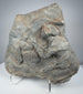 Roman relief fragment in gray volcanic tuff showing weathered human figures and naturally pitted stone surface
