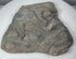 Ancient Roman stone relief showing surviving Classical figures, carved drapery and extensive surface weathering