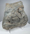 Classical Roman figural relief fragment with surviving drapery and sculptural details carved in volcanic tuff