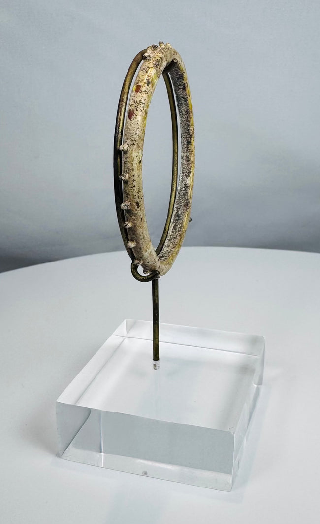 Collector-grade Roman glass bracelet showing attractive iridescence and mineral accretions.