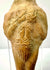 Detail of rough hand-formed terracotta texture with carved arm lines and central symbol
