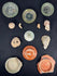 Roman glass vessel bases and terra sigillata fragments mounted in a wooden shadow-box frame