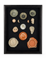 Framed archaeological study collection with thirteen ancient glass, pottery, terracotta, and stone fragments