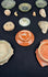 Ancient Eastern Mediterranean artifact display with glass, pottery, terracotta, and worked stone