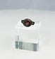 Eastern Mediterranean or Near Eastern ring with decorative silver nodes