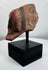 Ancient ceramic figural fragment with preserved facial details and decorative ear ornament on display stand