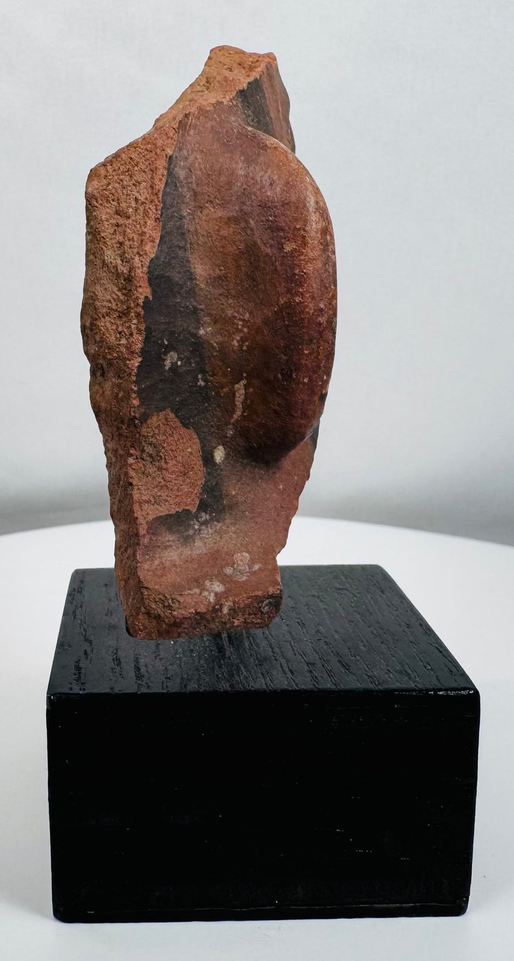 Historic terracotta facial fragment from the Ancient Americas with prominent earspool and pigment traces