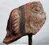 Terracotta face fragment featuring almond-shaped eye and circular earspool with traces of black pigment