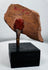 Archaeological terracotta face fragment with surviving pigment and historic collection markings