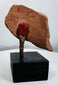 Archaeological terracotta face fragment with surviving pigment and historic collection markings