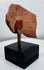 Terracotta sculptural fragment with almond-shaped eye, geometric forms, and traces of original paint