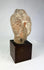 Ancient terracotta Buddha head with pronounced ushnisha and meditative expression
