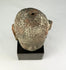 Ancient Southeast Asian terracotta Buddha head with serene expression and ushnisha