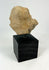 West Mexican terracotta fragment with stylized anthropomorphic figure