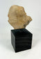 West Mexican terracotta fragment with stylized anthropomorphic figure