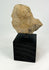 Terracotta figure fragment on modern wooden display base
