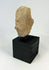 Ancient Iberian or Roman provincial terracotta anthropomorphic fragment