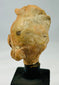 Museum-quality terracotta head fragment showcasing classical styling, realistic expression, and archaeological authenticity.