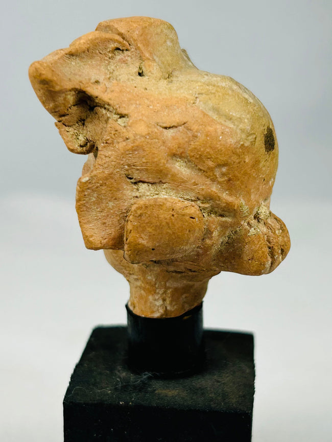 Authentic ancient Mediterranean terracotta head from 4th–1st century BCE, displayed on a modern base, highlighting artistic craftsmanship.