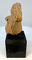 Ancient Mesoamerican terracotta sculpture fragment mounted for display
