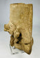 Ancient West Mexican terracotta head with earspools and facial detail
