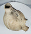 Side profile of an Early Bronze Age Anatolian terracotta pig vessel highlighting the tripod support legs.