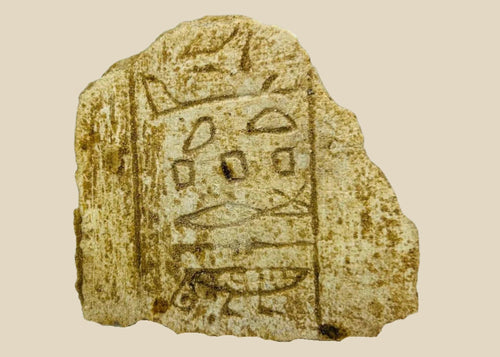 Ancient Egyptian hand-carved limestone fragment with clear hieroglyphic inscriptions, Late Period circa 700 BCE, showing symbols including loaf, water ripple, and eye motif, mounted on modern display base for study and exhibition.